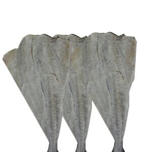 Dried and Salted Pollock Fish Dry