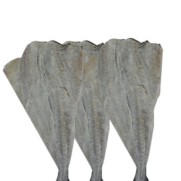 Dried and Salted Pollock Fish Dry