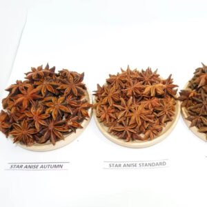 DRIED AUTUMN STAR ANISE WHOLESALE CUSTOMIZED