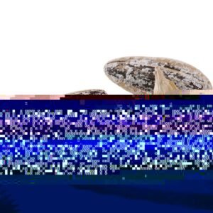 Dried Fruit Suppliers Vacuum Packing Freeze