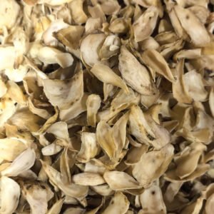 Dried Lily Bulbs