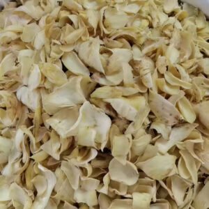 Dried Lily Flower