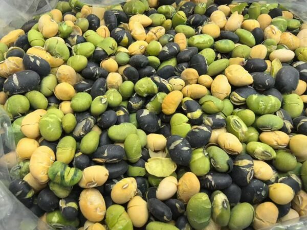 Dried Mixed Three color Beans