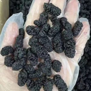 Dried Mulberries