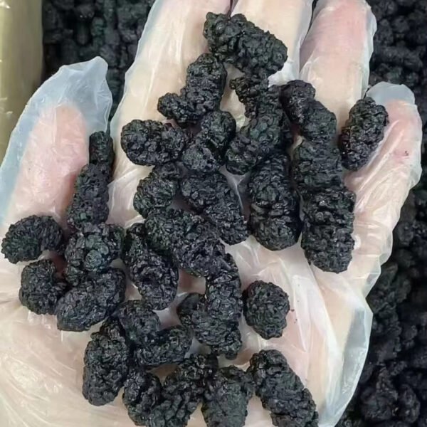 Dried Mulberries Dried Mulberries