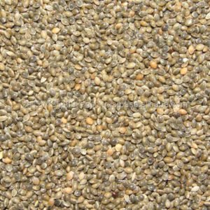 Dried Mung Bean Moong Dal Seed