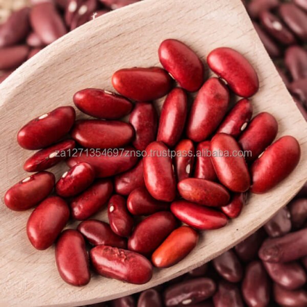 Export Bulk Red Kidney Beans Light