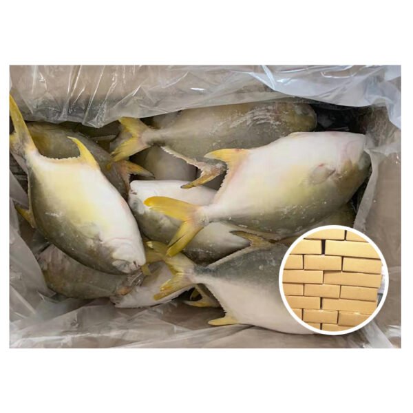Export Chinese Butterfish Open Sea Fish Export Chinese Butterfish Open Sea Fish