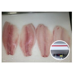 Export Frozen Tilapia Fish Fillet High