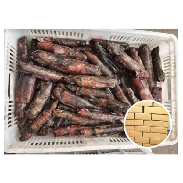 Export Good Quality Dried Squid Whole