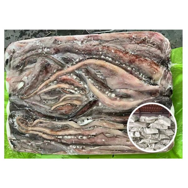 Export Peru Origin Sucker On Squid