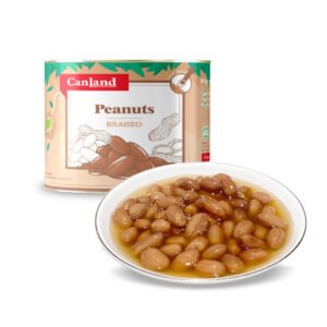 Factory Price High Quality Braised Peanuts