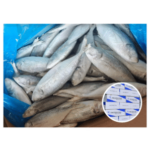 Factory Supply Frozen Horse Mackerel Trachurus