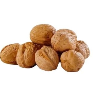 Factory Wholesale 185 Paper Walnut Shelled