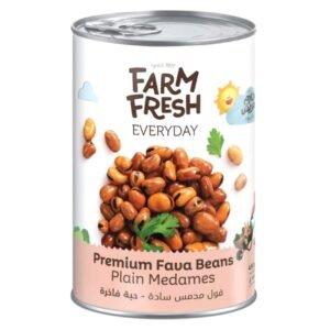 Farm Fresh Foul Medammas 450g wholesale UAE — bulk export supplier