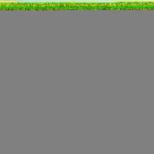 Farm Hign Quality Seabass Fish 300