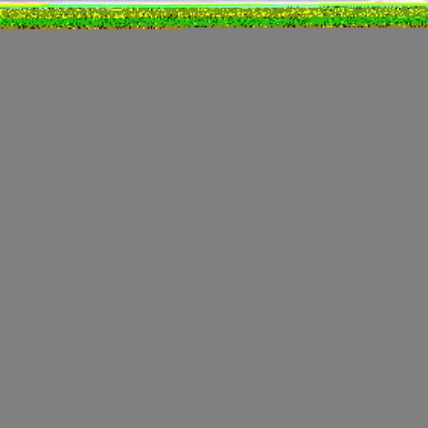 Farm Hign Quality Seabass Fish 300