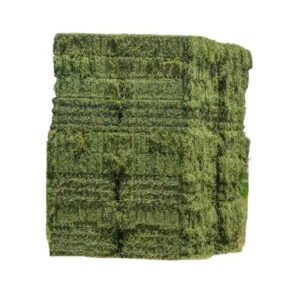 Fast Dispatch High Quality Alfalfa Hay