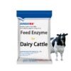 Feed Additive Complex Enzymes for Dairy