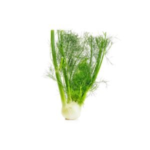 Fennel Jordan 500g — premium quality