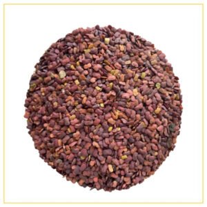 Fenugreek Seeds Irani Metti — premium quality