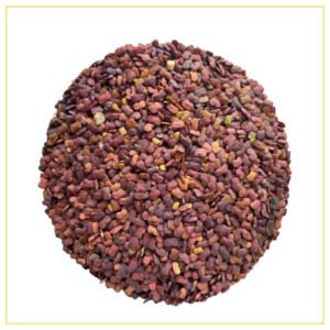 Fenugreek Seeds Irani Metti Ndash The Nuts Supermarket Llc — premium quality