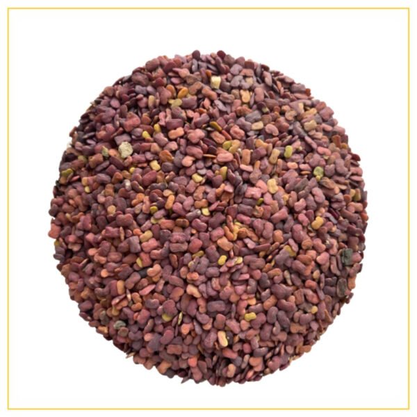 Fenugreek Seeds Irani Metti Ndash The Nuts Supermarket Llc Fenugreek Seeds Irani Metti Ndash The Nuts Supermarket Llc — premium quality
