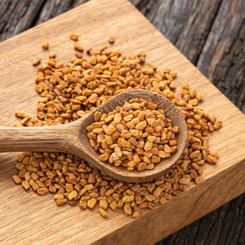 Fenugreek Seeds Raw Dried Granule Single Fenugreek Seeds Raw Dried Granule Single