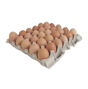 Fertile Hatching Chicken Eggs Fresh Table