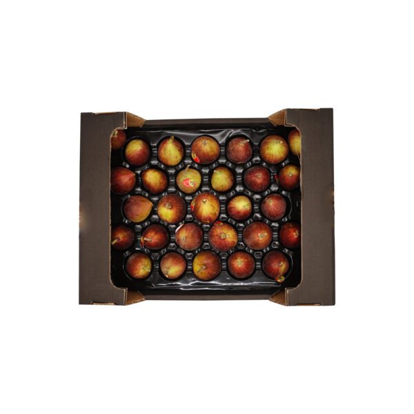 Fig Box Fig Box — premium quality