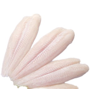 Filete De Pangasius Basa Fish Fresh