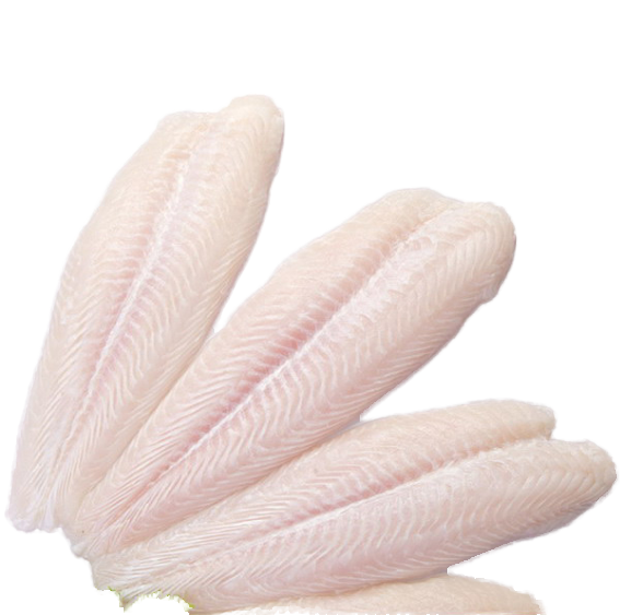 Filete De Pangasius Basa Fish Fresh