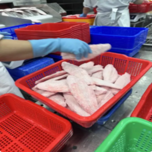 Fillet Frozen Pangasius in Fish