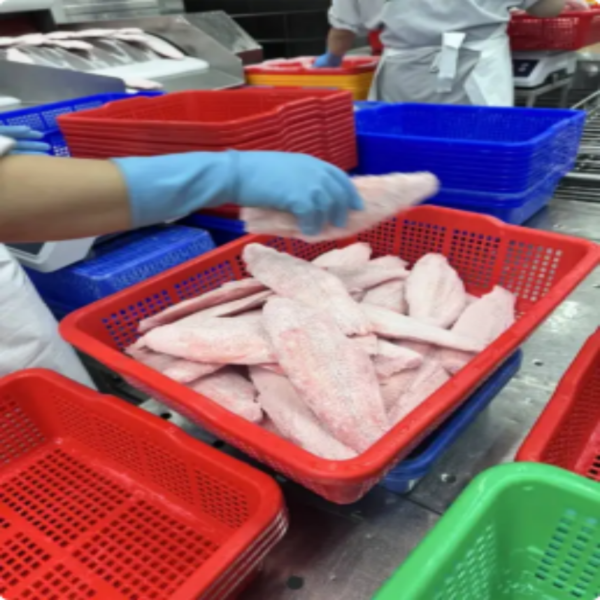 Fillet Frozen Pangasius in Fish Fillet Frozen Pangasius in Fish