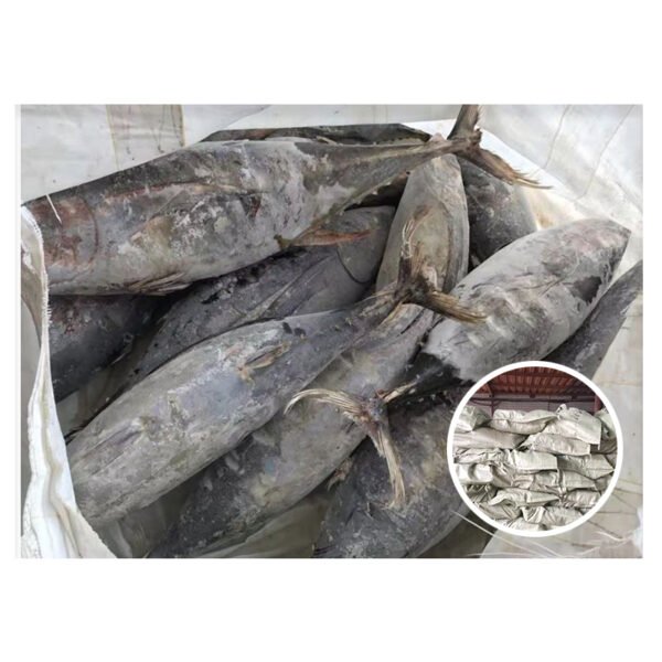 Fish Can Buyers Maldives Thailand Market Fish Can Buyers Maldives Thailand Market