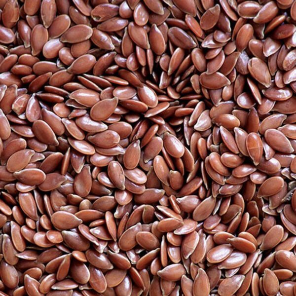 Flax Seeds Flax Seeds — premium quality