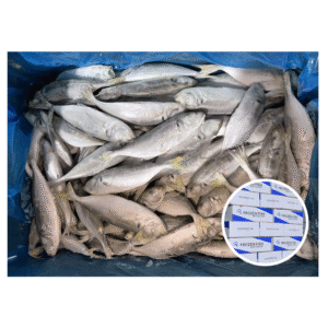 Food Grade Frozen Horse Mackerel HGT