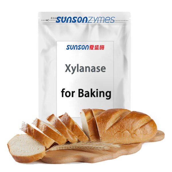 Food Grade Xylanase for Bakery for