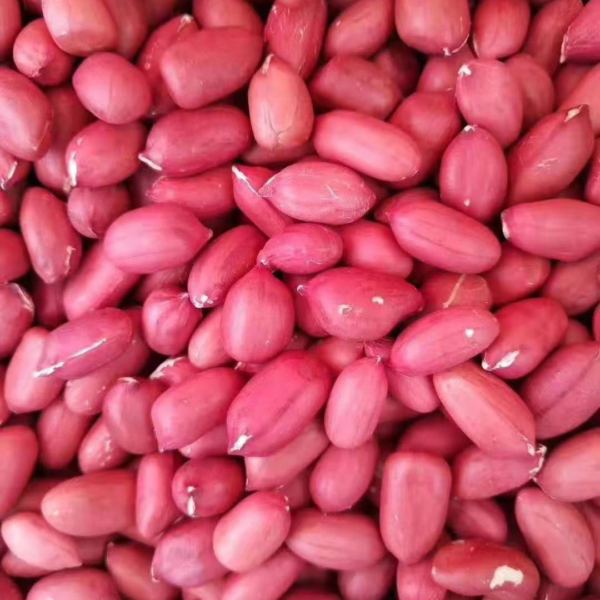 Four grain Red Peanuts