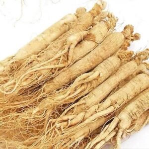 Free Sample Ginseng Jilin Ginseng Changbai