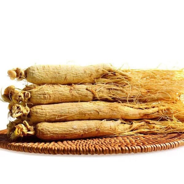Free Sample Importers Dried Ginseng Root Free Sample Importers Dried Ginseng Root