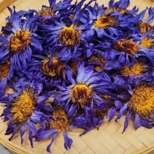 Fresh Blue Lotus Herbal