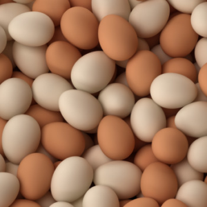 Fresh Broiler Table Eggs Cobb 500