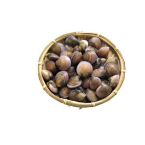 Fresh Clams Seafish Shell 500g — premium quality