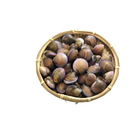 Fresh Clams Seafish Shell 500g Fresh Clams Seafish Shell 500g — premium quality