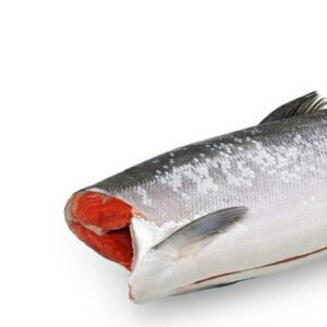 Fresh Frozen Atlantic Salmon Fish Fillet
