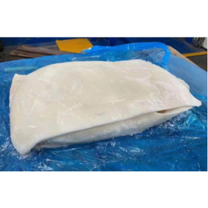 Fresh Frozen Peru Giant Squid Fillet