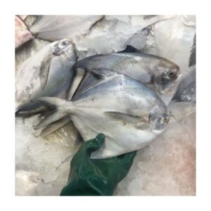 Fresh Frozen Silver Pomfret Fish 400