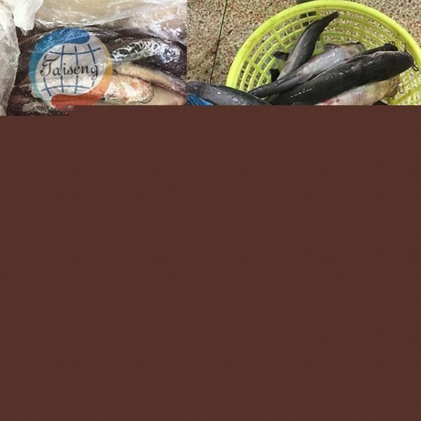 Fresh Frozen Tilapia Fish Fillet Packed Fresh Frozen Tilapia Fish Fillet Packed