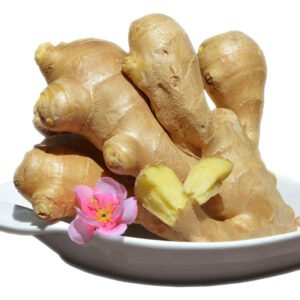 Fresh Ginger in Bulk Single Spices